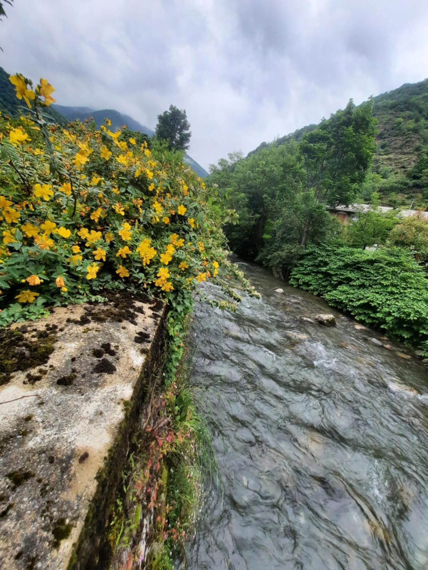 En Bord De Riviere * Bagnères-de-Luchon